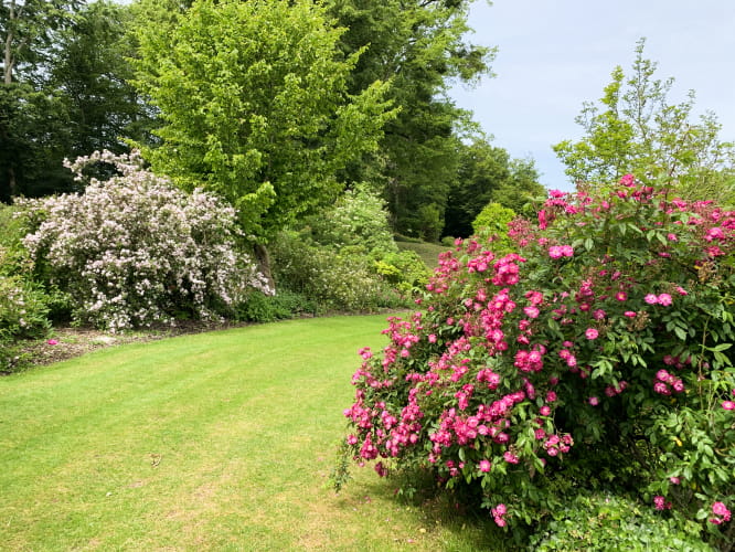 Jardin du Plessis Sasnières - Fleurs ©Pierre Goubeaux