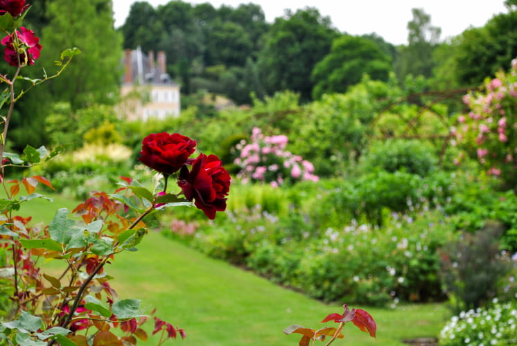 Jardin du Plessis Sasnières - Les roses rouges ©A. Verger_CRT Centre-Val de Loire