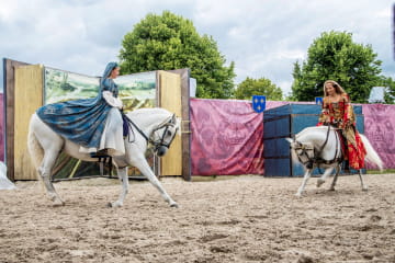 Spectacle chevaux et rapaces à Chambord