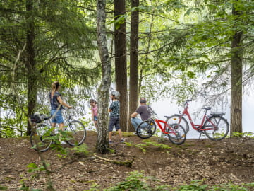 Balade à vélo en forêt de Sologne