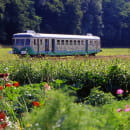 Train Touristique de la Vallée du Loir ©D. Sourice