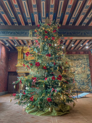 Noël au château royal de Blois - Salle du Roy ©Château royal de Blois