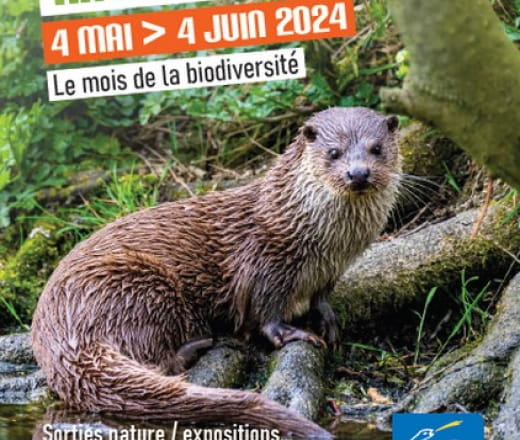Le 41 par Nature - Le mois de la biodiversité en Loir-et-Cher Du 4 mai au 4 juin 2024